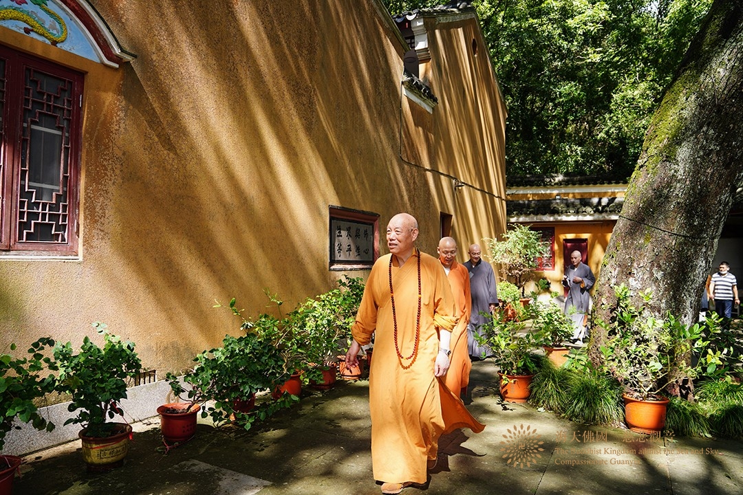 台风-会长道慈大和尚与陈宏成局长一行赴法雨禅寺等寺院查看台风影响情况