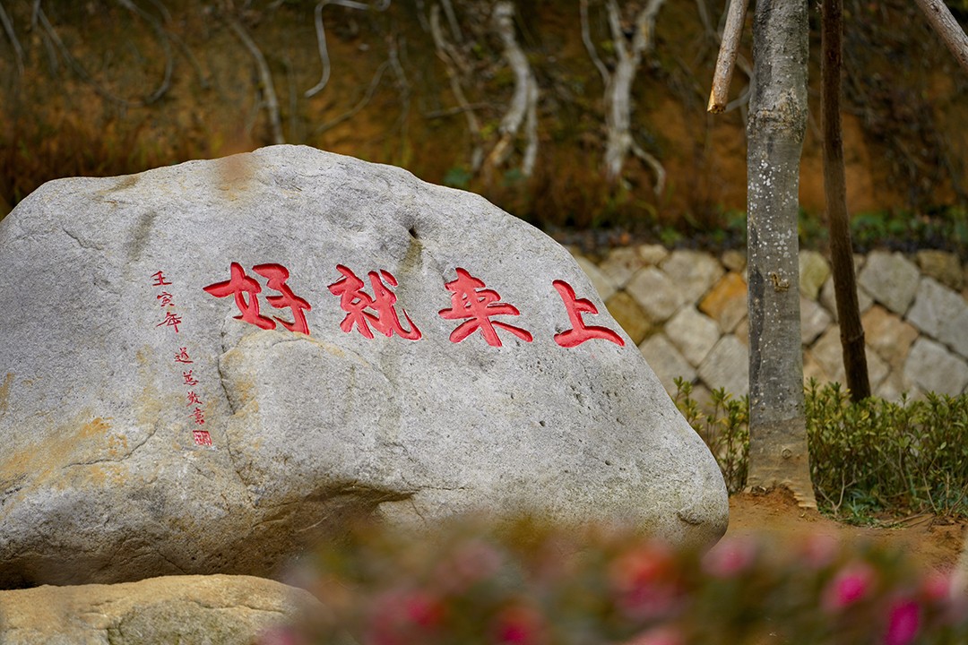 佛教-观心自在 上来就好