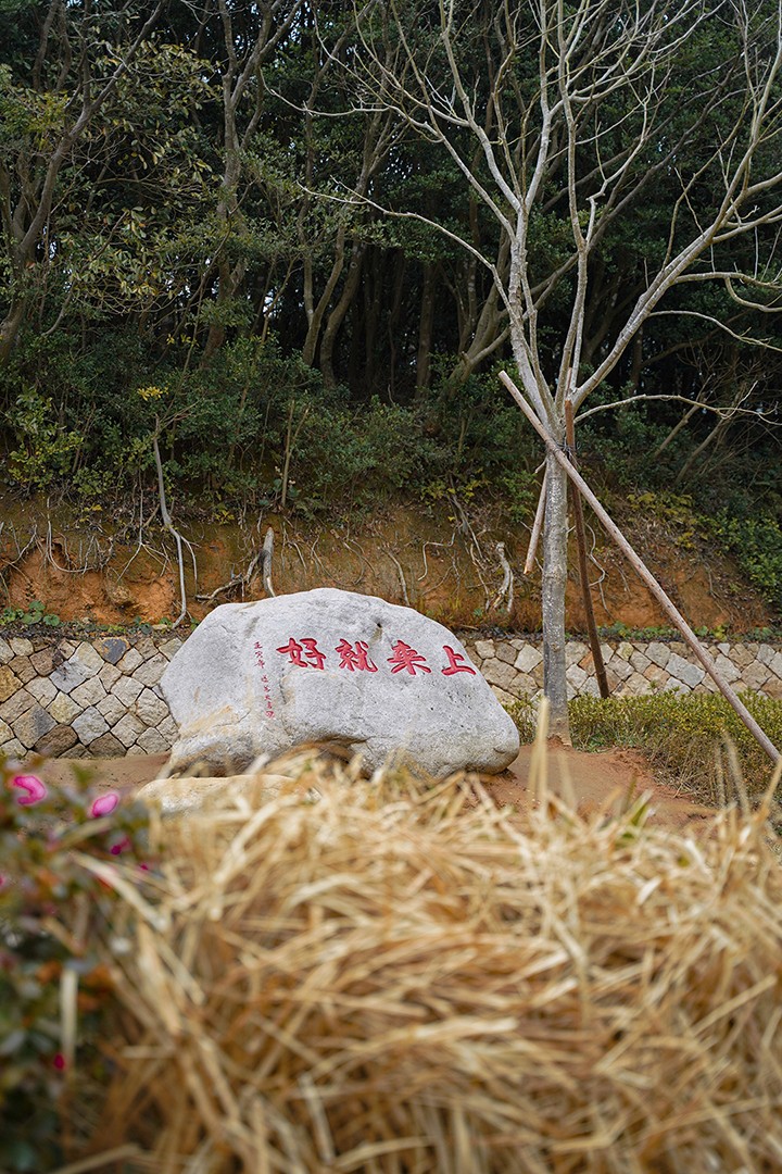 佛教-观心自在 上来就好