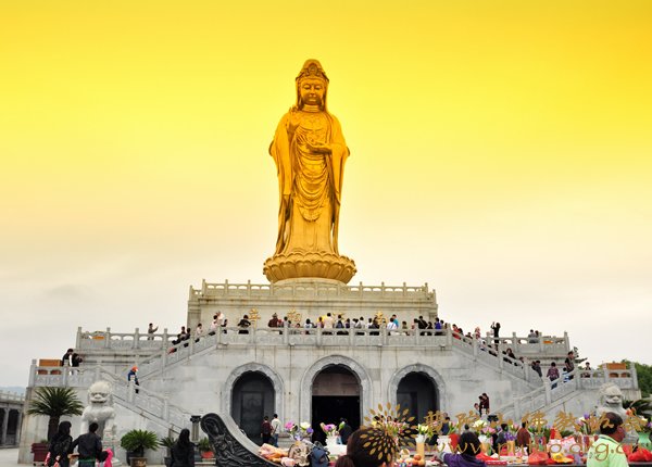 97年普陀山观音显圣,安徽政法干警考试网,坦克